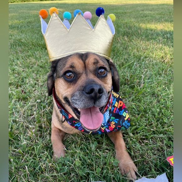 🫶🏻💕 AUTUMN_21 is live! 💕 🫶🏻 - Picture 4 of 11